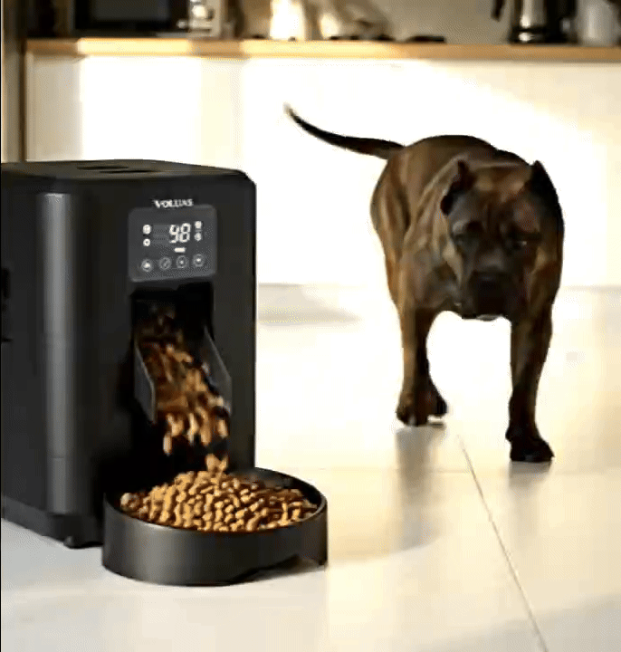 Auto Paw™ Smart Automatic Pet Feeder – App-Controlled, Scheduled Feeding, Portion Control for Cats & Dogs