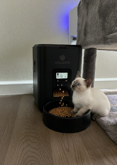 "Experience Peace of Mind with Effortless Feeding"